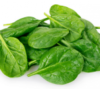 Organic Spinach 24ct