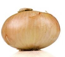 Peruvian Sweet Mayan Onions 40#