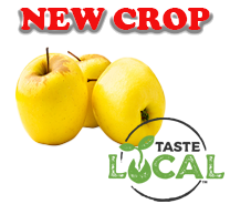 Opal Apples New Crop Local Euro Pack