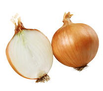 Organic Vidalia Onion