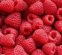 12/6 oz Raspberries