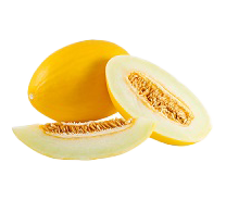 Canary Melons