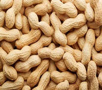 Peanuts, Cajun 16/10 oz