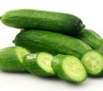 Organic Persian Cucumbers