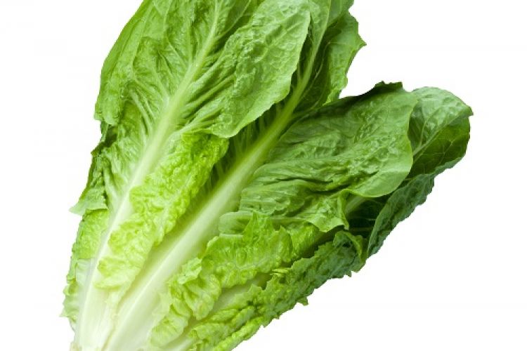 CDC & FDA Confirm First Single Source of Romaine Outbreak