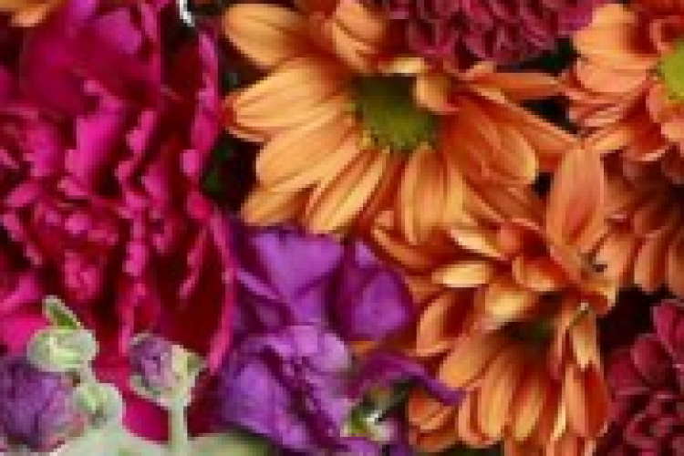 Custom Floral Recipes 2025