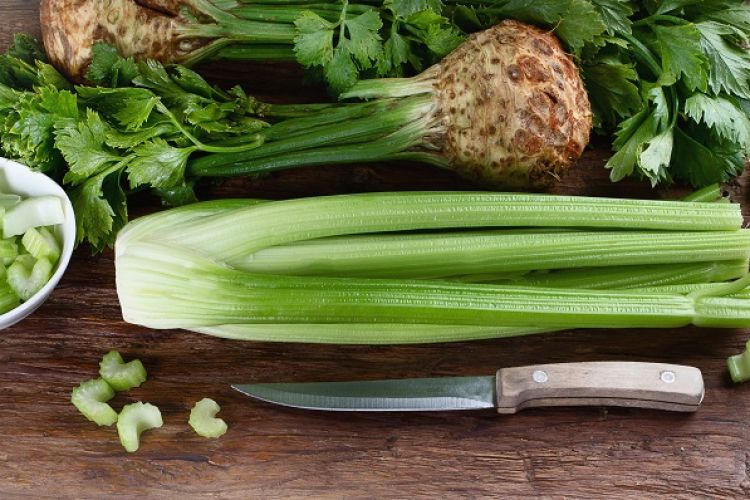 Everything You Wanted To Know About Celery