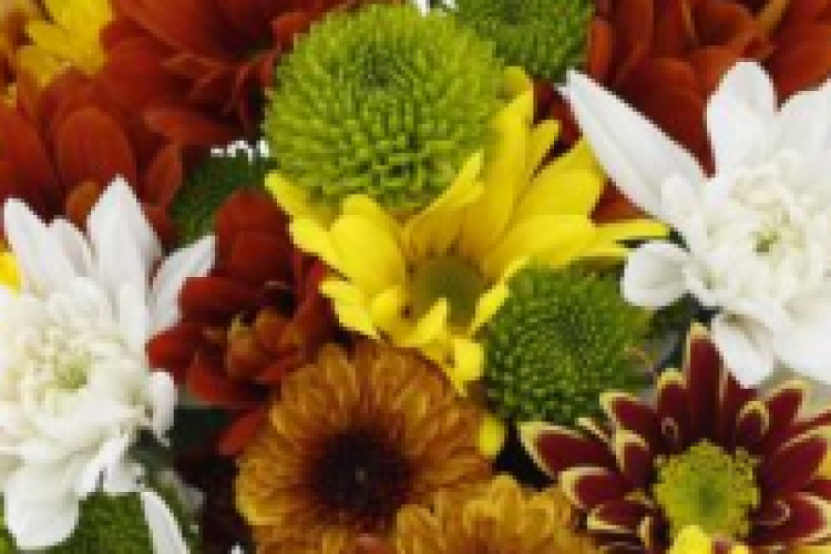 Fall Floral 2025