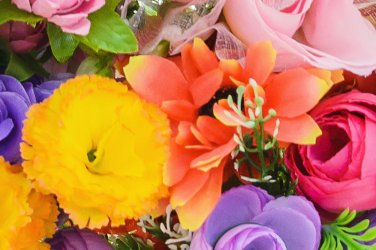 Summer Floral Summer Floral