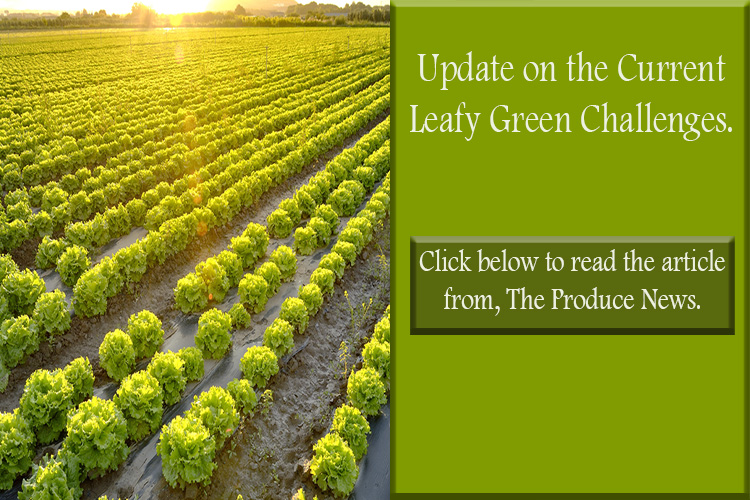 Leafy Green Challenges