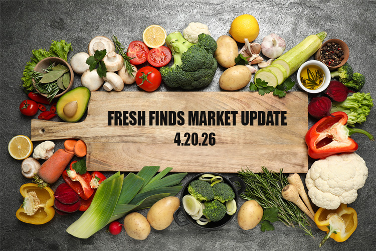 Fresh Finds Market Update 4.20.26