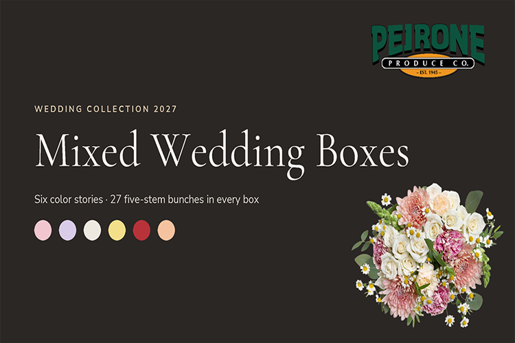 Mixed Wedding Boxes Mixed Wedding Boxes
