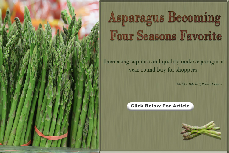 Asparagus 4 Season Favorite