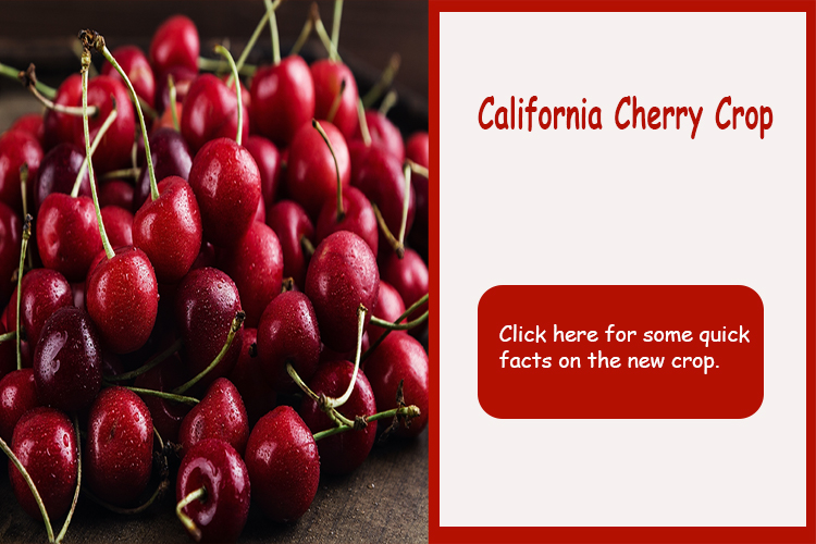 California Cherry Crop 