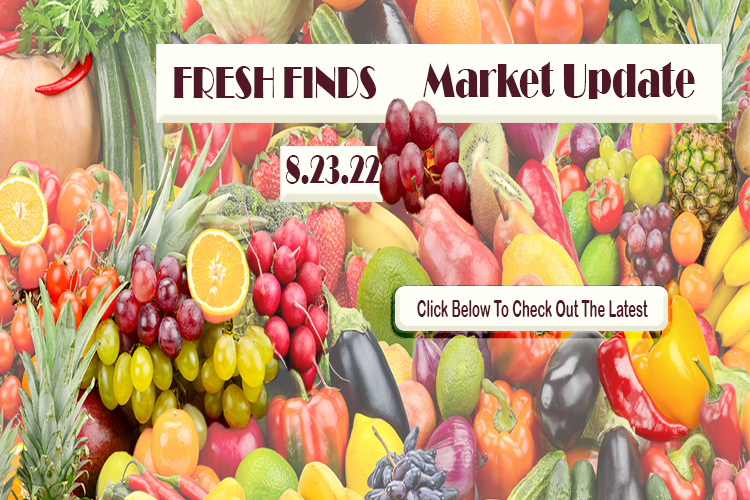 Fresh Finds Market Update 8.23.22
