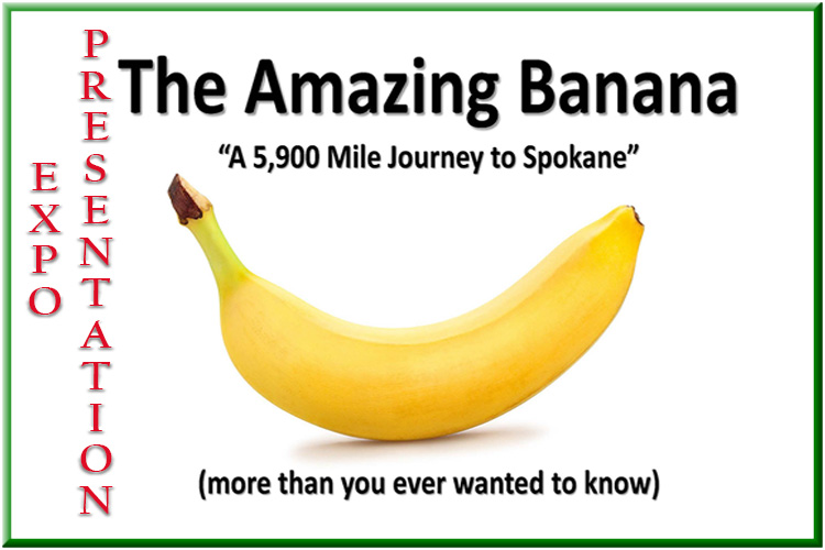The Amazing Banana