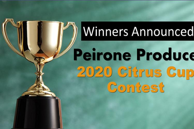 Peirone Produce 2020 Citrus Cup Winners Announced