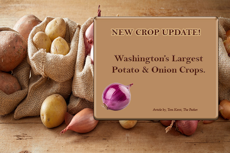 Washington Largest Crops
