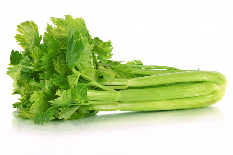 Celery: Crop Update 3/14/19