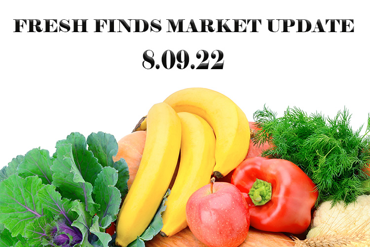 Fresh Finds Market Update 8.09.22