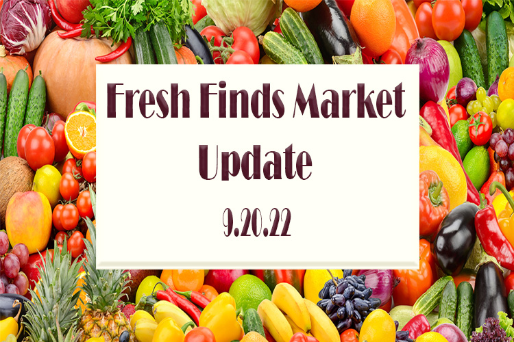 Fresh Finds Market Update 9.20.22