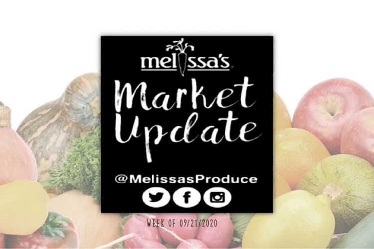 Melissa's Market Updated 