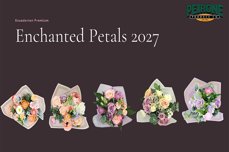 Enchanted Petals Enchanted Petals