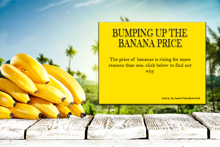 Banana Pricing