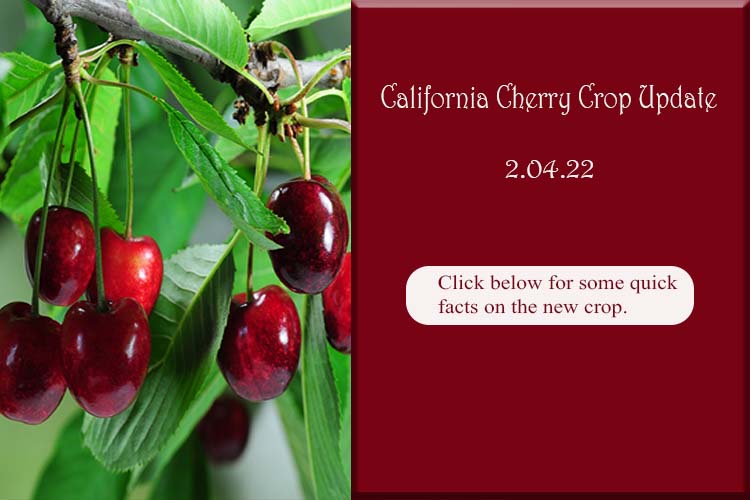 California Cherry Crop Update