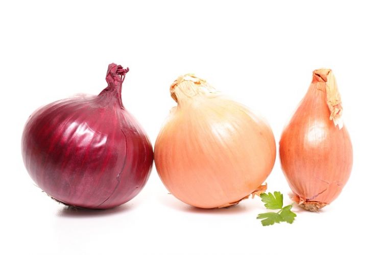 Onion: Market Update 3/13/19