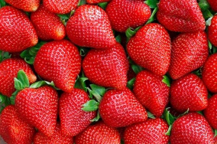 Special Strawberry Market Update