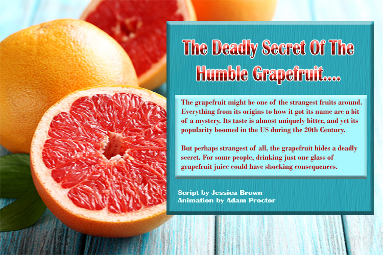 Humble Grapefruit